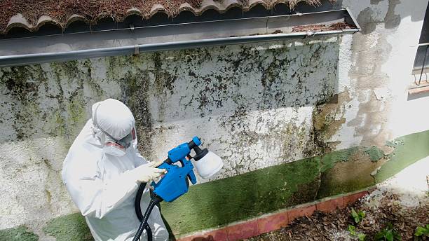 Top rated local Mold Remediation specialists in Mantua, VA